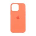 Чехол iPhone 16 Pro Silicone Case MagSafe Tangerine