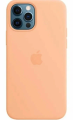 Чехол iPhone 12 Pro Max Silicon Case Cantaloupe