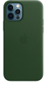 Чехол iPhone 12 Pro Max Leather Case Forest Green