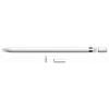 Pencil